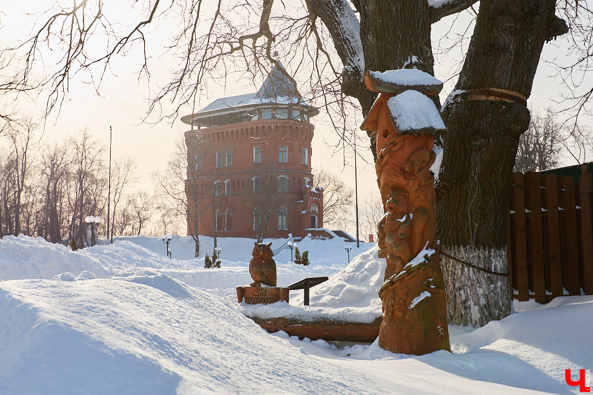 Вы знали, что во Владимире на одной улице могут ужиться бульдог, лев и лиса с вороной, а на заборах отдыхают… коровы. Весь этот удивительный зоопарк представлен в виде арт-объектов, изображающих милых и забавных зверей, выполненных из разных материалов. А чтобы наши читатели не блуждали по всему городу в поисках композиций, мы собрали и запечатлели их сами. Любуйтесь и приходите смотреть фигурки собственными глазами.