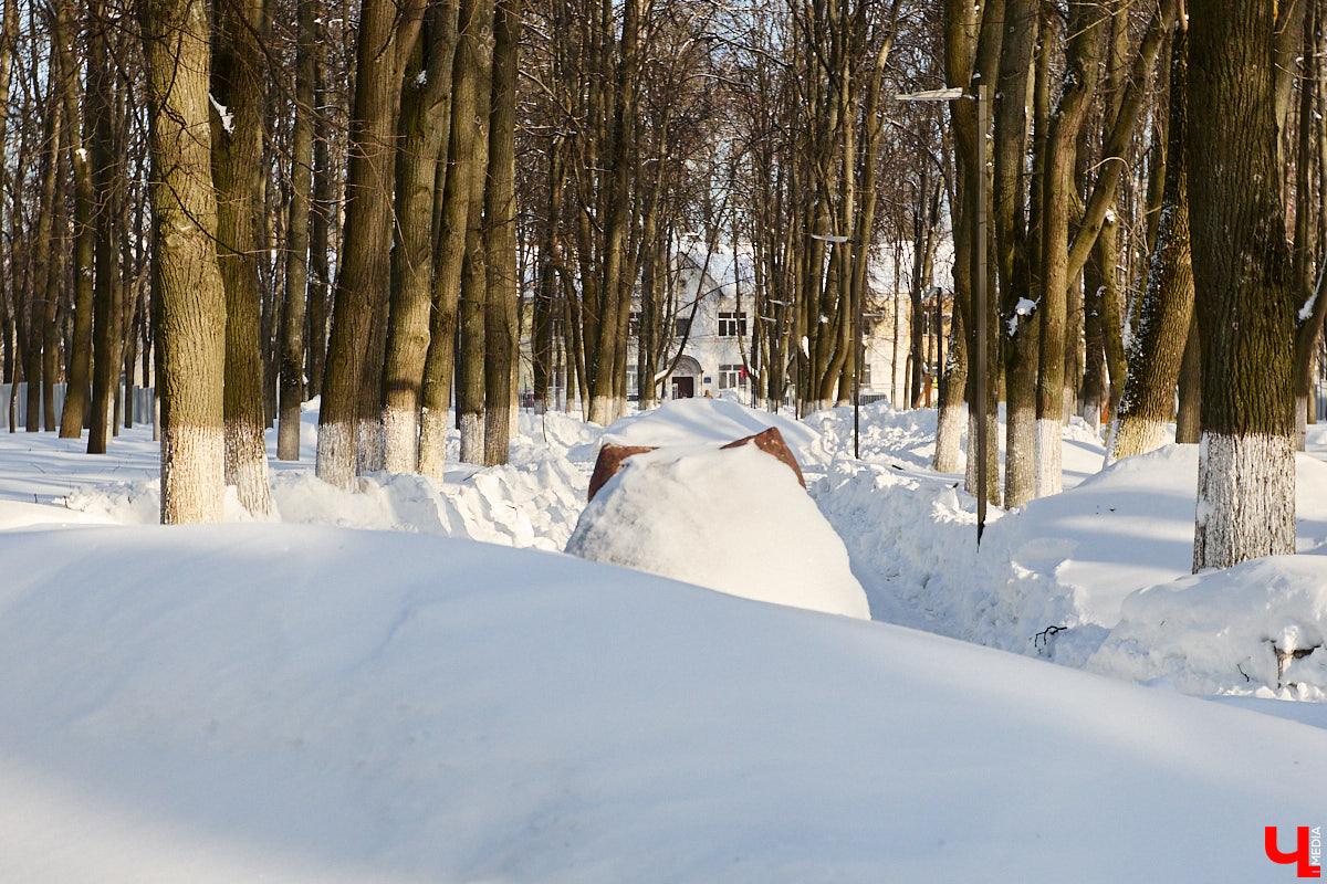 Вы знали, что во Владимире на одной улице могут ужиться бульдог, лев и лиса с вороной, а на заборах отдыхают… коровы. Весь этот удивительный зоопарк представлен в виде арт-объектов, изображающих милых и забавных зверей, выполненных из разных материалов. А чтобы наши читатели не блуждали по всему городу в поисках композиций, мы собрали и запечатлели их сами. Любуйтесь и приходите смотреть фигурки собственными глазами.