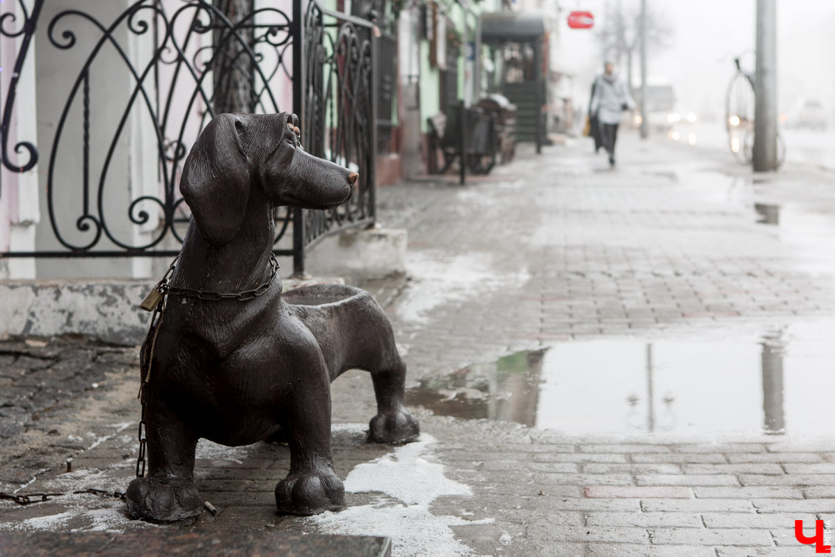 Вы знали, что во Владимире на одной улице могут ужиться бульдог, лев и лиса с вороной, а на заборах отдыхают… коровы. Весь этот удивительный зоопарк представлен в виде арт-объектов, изображающих милых и забавных зверей, выполненных из разных материалов. А чтобы наши читатели не блуждали по всему городу в поисках композиций, мы собрали и запечатлели их сами. Любуйтесь и приходите смотреть фигурки собственными глазами.