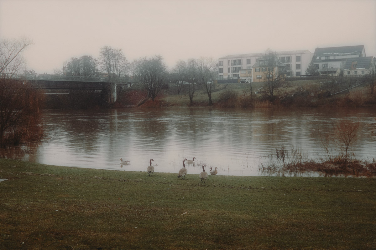 Почти три года назад Анастасия Звягина уехала из областного центра в Германию с одним чемоданом для ручной клади. За это время она успела хорошенько поработать, в том числе в Париже и на Мальдивах, а затем осознанно выбрала размеренную жизнь в баварской глубинке. О том, почему европейские фотостудии проигрывают владимирским и как художнику не потерять себя в бесконечных бюрократических процессах, девушка рассказала нашему изданию.