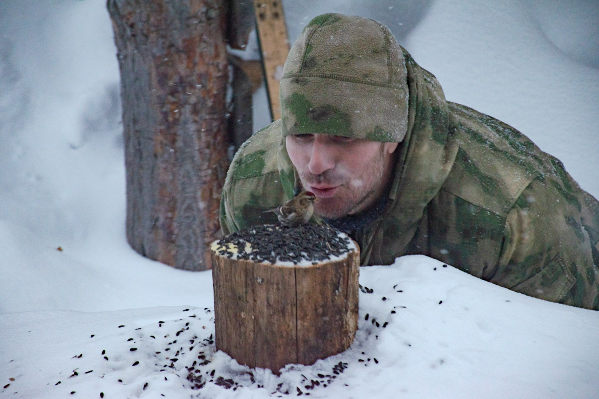 Владимирские фотоохотники не теряют времени зря. С объективом в руках они бродят по заснеженным паркам, городским улочкам и лесным тропам, чтобы порадовать своих подписчиков забавными снимками зверушек в их естественной среде обитания. «Ключ-Медиа» собрал самые интересные кадры.