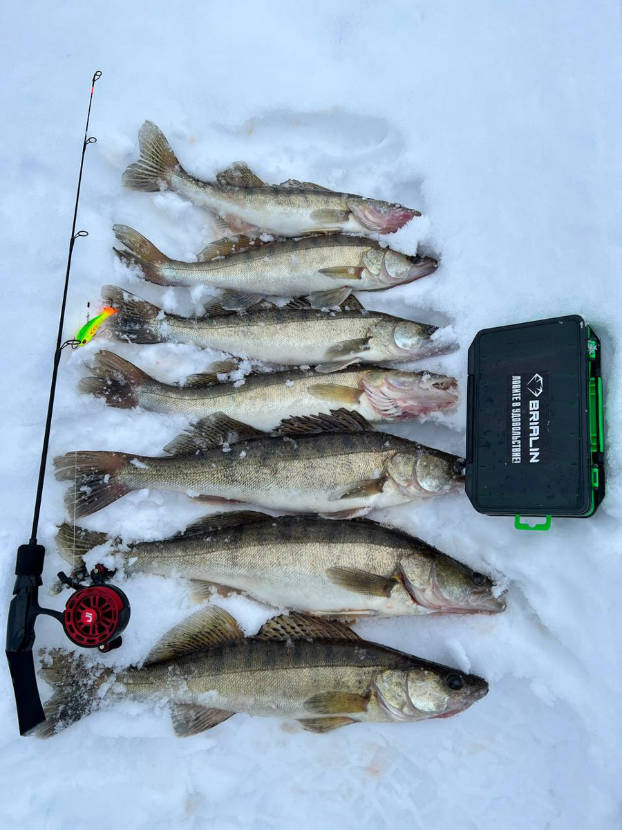 Рыбаки 33-го региона подводят итоги сезона твердой воды. В отличие от прошлого года, на сей раз водоемы Владимирской области трофейными судаками и щуками не порадовали. Сначала долго не мог встать лед, потом закружили метели и ударили морозы. «Ключ-Медиа» узнал, как погода повлияла на клев и попались ли на удочку любителям зимней ловли стоящие экземпляры.