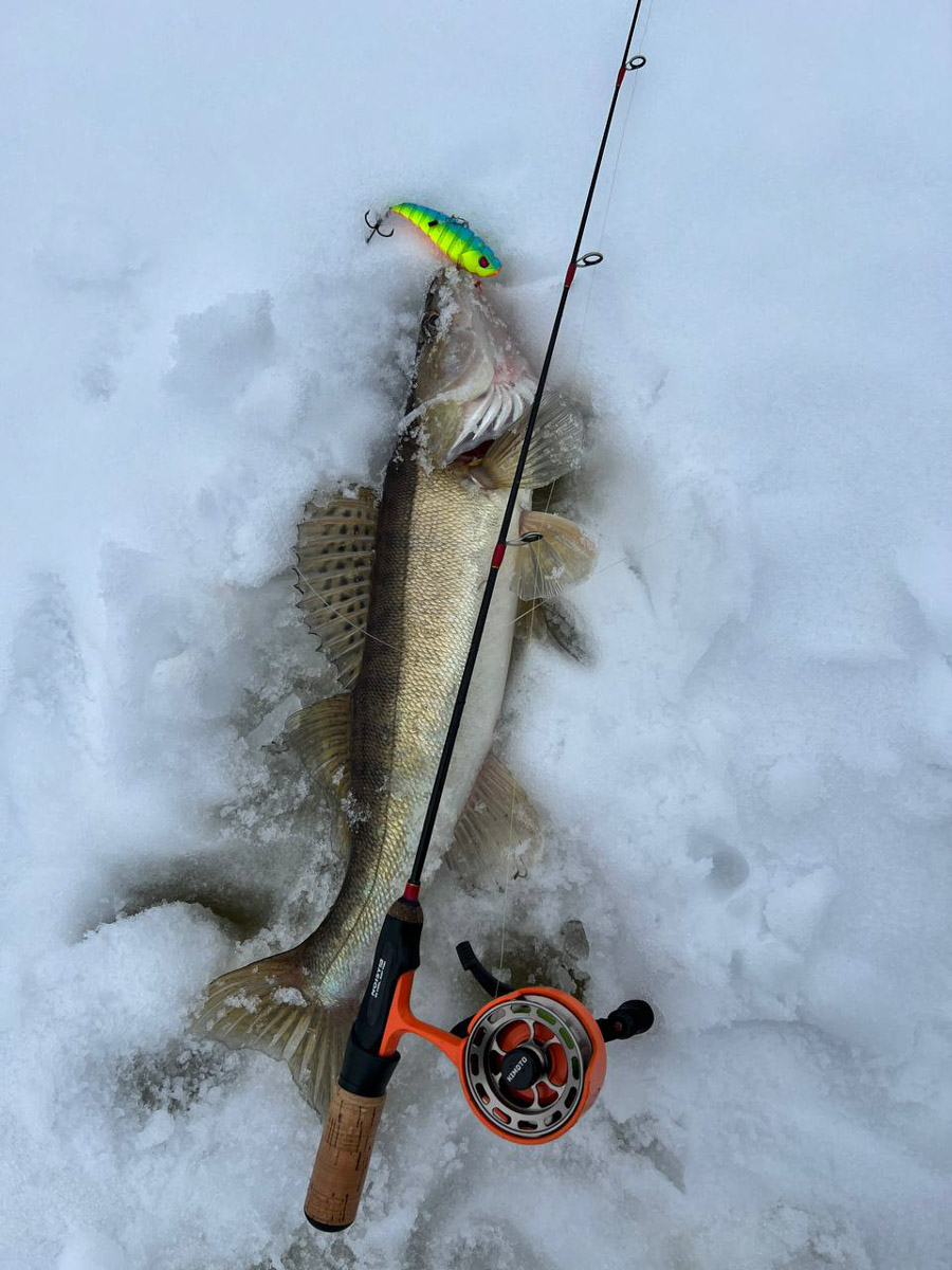Рыбаки 33-го региона подводят итоги сезона твердой воды. В отличие от прошлого года, на сей раз водоемы Владимирской области трофейными судаками и щуками не порадовали. Сначала долго не мог встать лед, потом закружили метели и ударили морозы. «Ключ-Медиа» узнал, как погода повлияла на клев и попались ли на удочку любителям зимней ловли стоящие экземпляры.