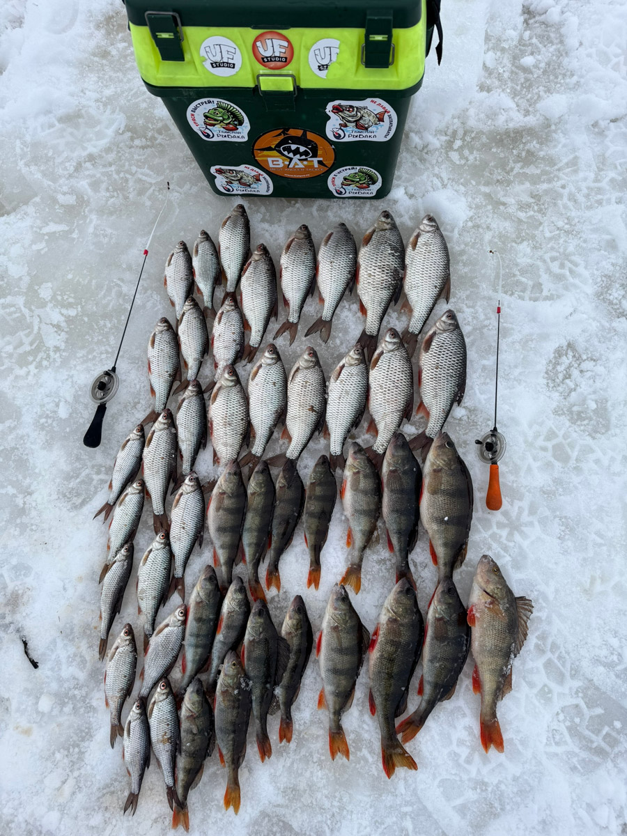 Рыбаки 33-го региона подводят итоги сезона твердой воды. В отличие от прошлого года, на сей раз водоемы Владимирской области трофейными судаками и щуками не порадовали. Сначала долго не мог встать лед, потом закружили метели и ударили морозы. «Ключ-Медиа» узнал, как погода повлияла на клев и попались ли на удочку любителям зимней ловли стоящие экземпляры.