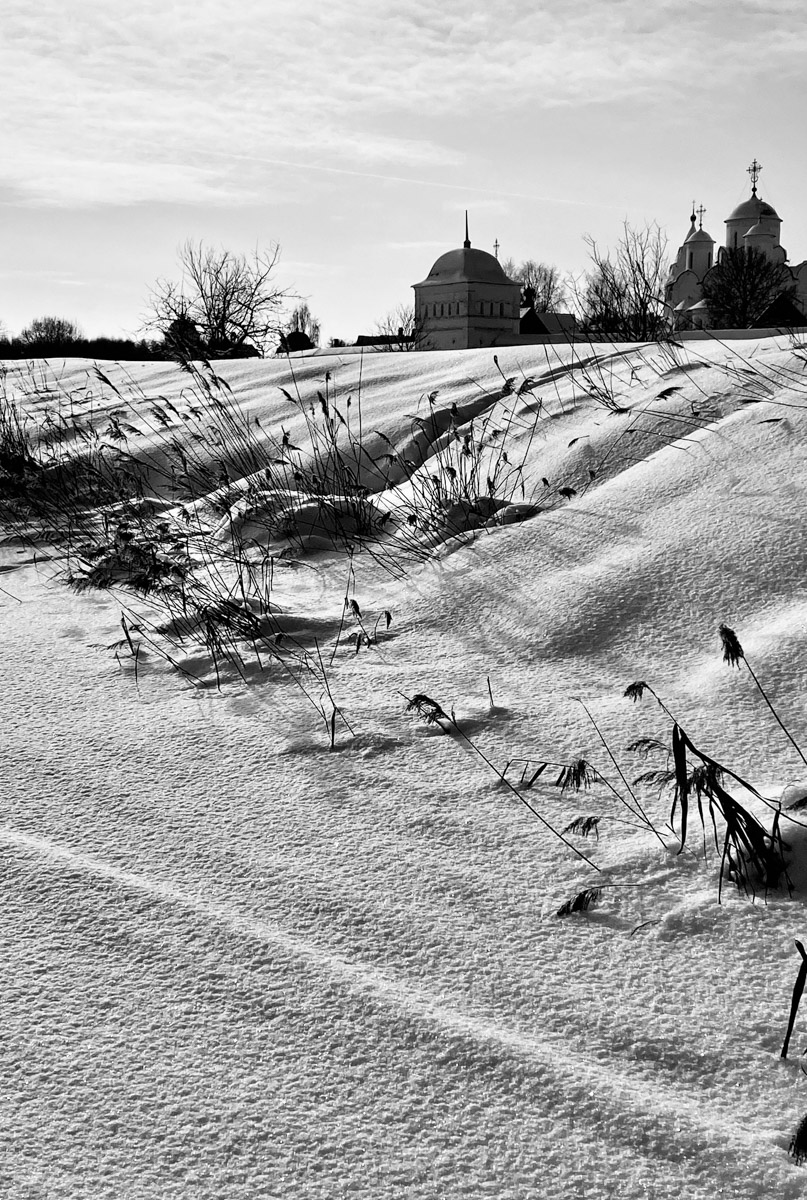 С ноября по март мы лицезреем из окна черно-белую картинку. От нее легко устать, однако фотографы готовы доказать: в монохроме есть свое очарование! «Ключ-Медиа» собрал интересные кадры местных мастеров, умеющих найти красоту в серых буднях.