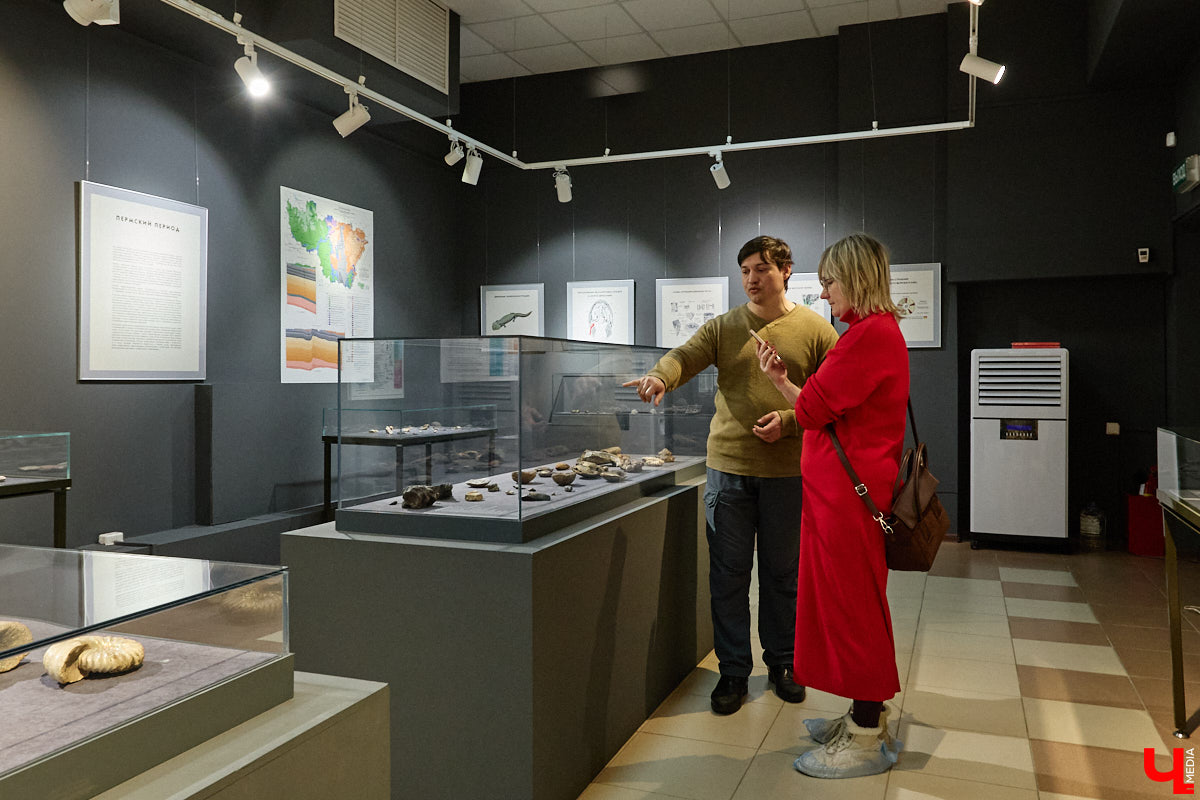 Владимирцам выпал уникальный шанс окунуться в далекое прошлое, за сотни миллионов лет до появления на земле человека. Машина времени работает в Музее природы, где представлены более 220 удивительных находок из каменноугольного, пермского, юрского и мелового периодов, многие из которых обнаружены на территории региона. Именно они послужили образованию известняка — символа владимиро-суздальского белокаменного зодчества.