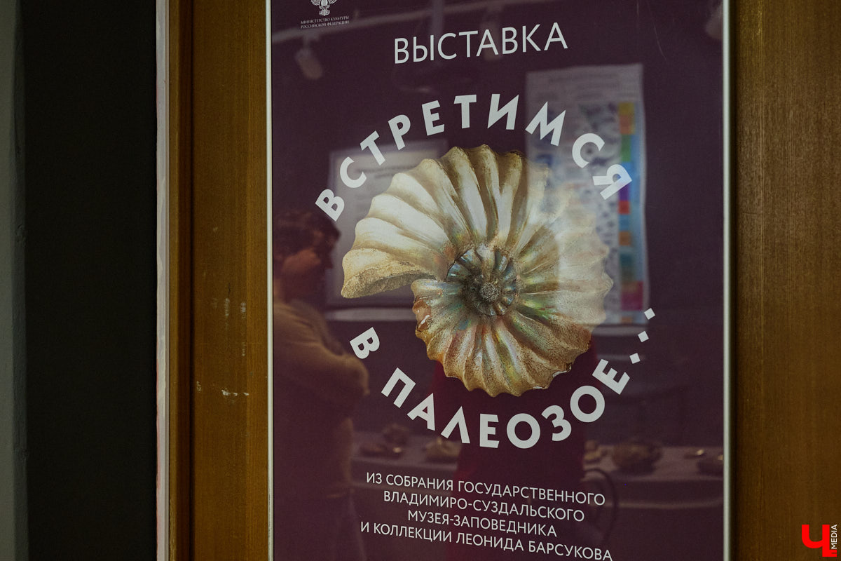 Владимирцам выпал уникальный шанс окунуться в далекое прошлое, за сотни миллионов лет до появления на земле человека. Машина времени работает в Музее природы, где представлены более 220 удивительных находок из каменноугольного, пермского, юрского и мелового периодов, многие из которых обнаружены на территории региона. Именно они послужили образованию известняка — символа владимиро-суздальского белокаменного зодчества.