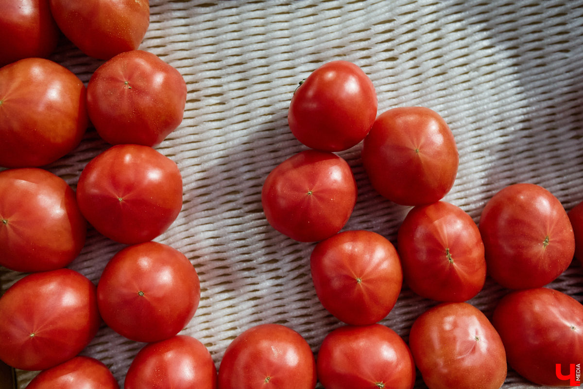 Стремительно растущая стоимость продуктов давно никого не оставляет равнодушным. Поход в супермаркет напоминает экстремальный вид спорта: тот же набор, что и неделю назад, но цифры в чеке всё выше и выше. «Ключ-Медиа» решил разобраться, что произошло с ценниками на полках магазинов за последний год. В качестве эксперимента прогулялись с активистом Артемом Сыровым по местному гипермаркету и собрали базовую корзину на неделю.