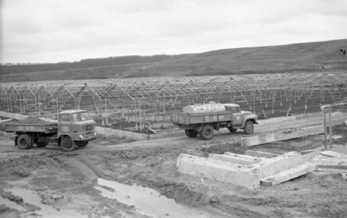 Многие из нас не застали Владимир на этапе его становления. Но это не значит, что прошлое стерто. Умело управляет лентой таймлайна автор тг-канала «Фотохроника Владимира» Андрей Кормин. В архиве его сообщества «Ключ-Медиа» нашел запечатленные на пленку моменты рождения важных городских объектов.