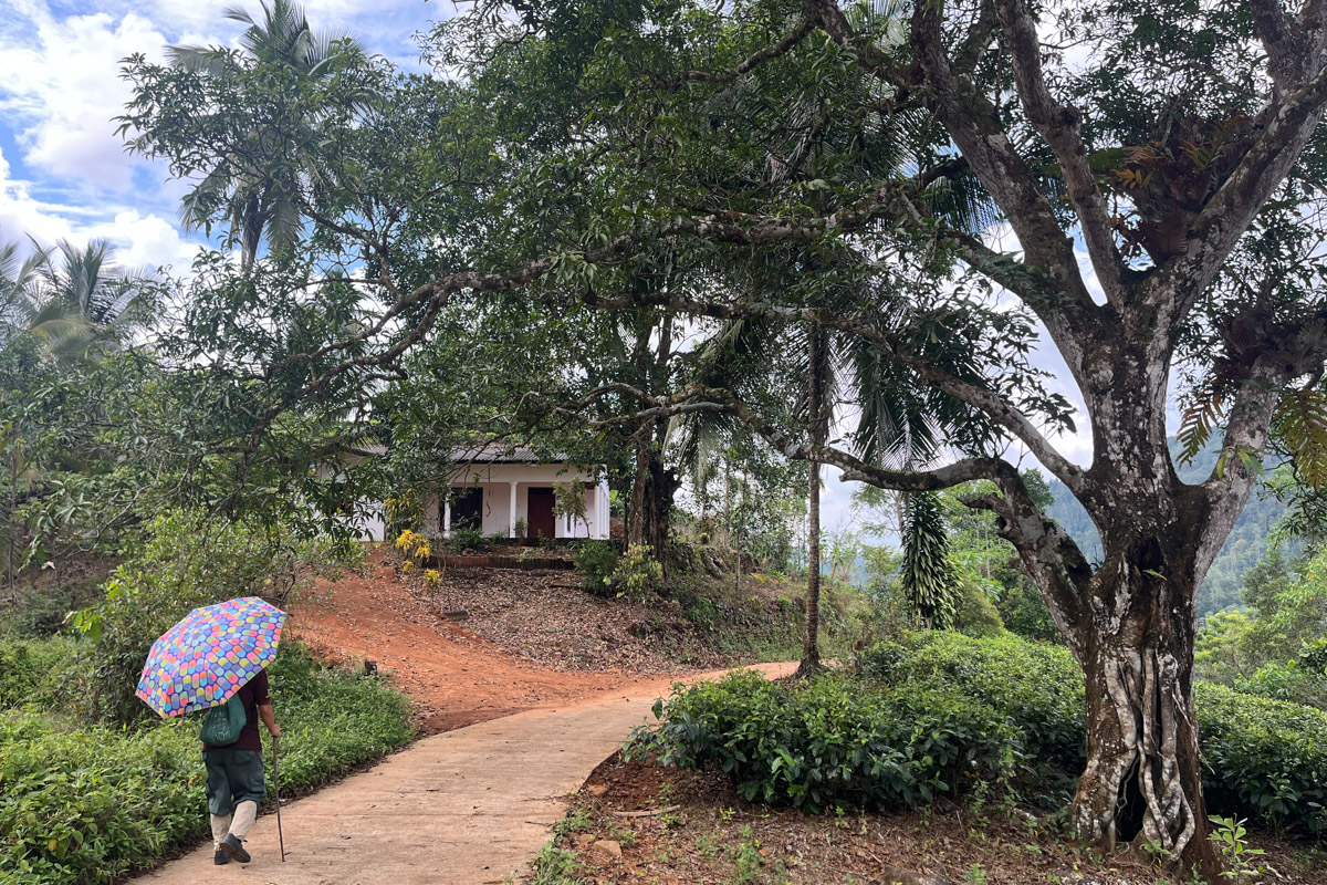 Юлия Покачалова привыкла к свету софитов, съемочным площадкам и плотному концертному графику. Но иногда даже самым активным девушкам стоит нажать на кнопку «Пауза». Поэтому в компании подруги Ольги она отправилась на Шри-Ланку. О том, каково петь русские народные песни в доме ланкийского водителя и почему на острове легко почувствовать себя отпущенной на волю птицей — в нашем материале.