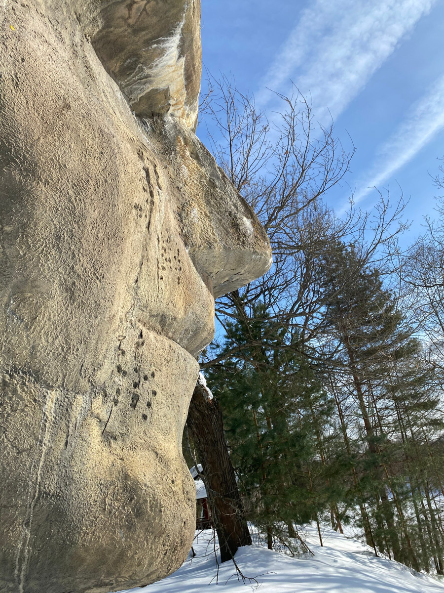 Если во Владимире ищут миниатюры, спрятанные под стеклом, то в Муроме, например, имеется арт-объект, который хорошо виден издалека. Деревянный конь былинного богатыря — одна из самых высоких уличных композиций 33-го региона. А кто еще может составить компанию Бурушке? Собрали топ-7 масштабных фигур.