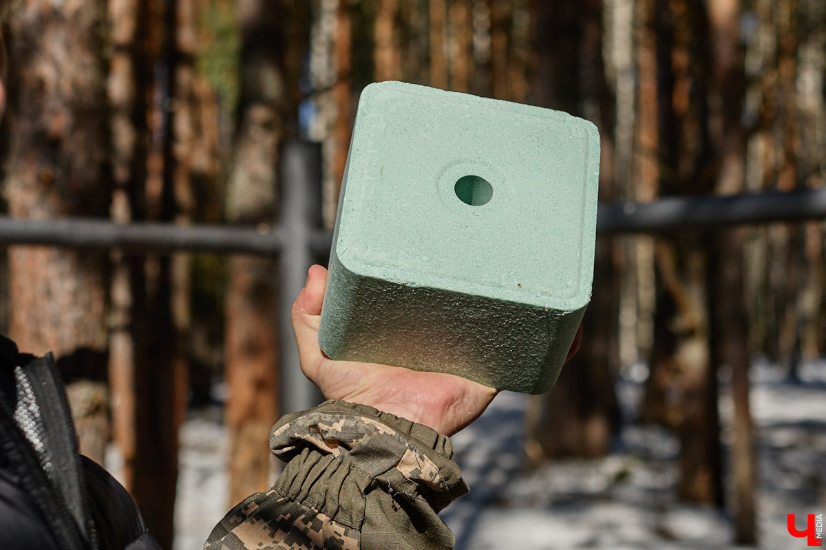 Популяция владимирских зубров разменяла три сотни! Большая часть краснокнижных великанов обитает на территории области, но есть наши животные и в заповеднике Мордовии. «Ключ-Медиа» отправился в Гусь-Хрустальный район, чтобы не только полюбоваться дикими быками, но и узнать, сколько рогатых млекопитающих рода бизонов вышли за пределы охраняемых территорий и теперь свободно гуляют по лесам 33-го региона.