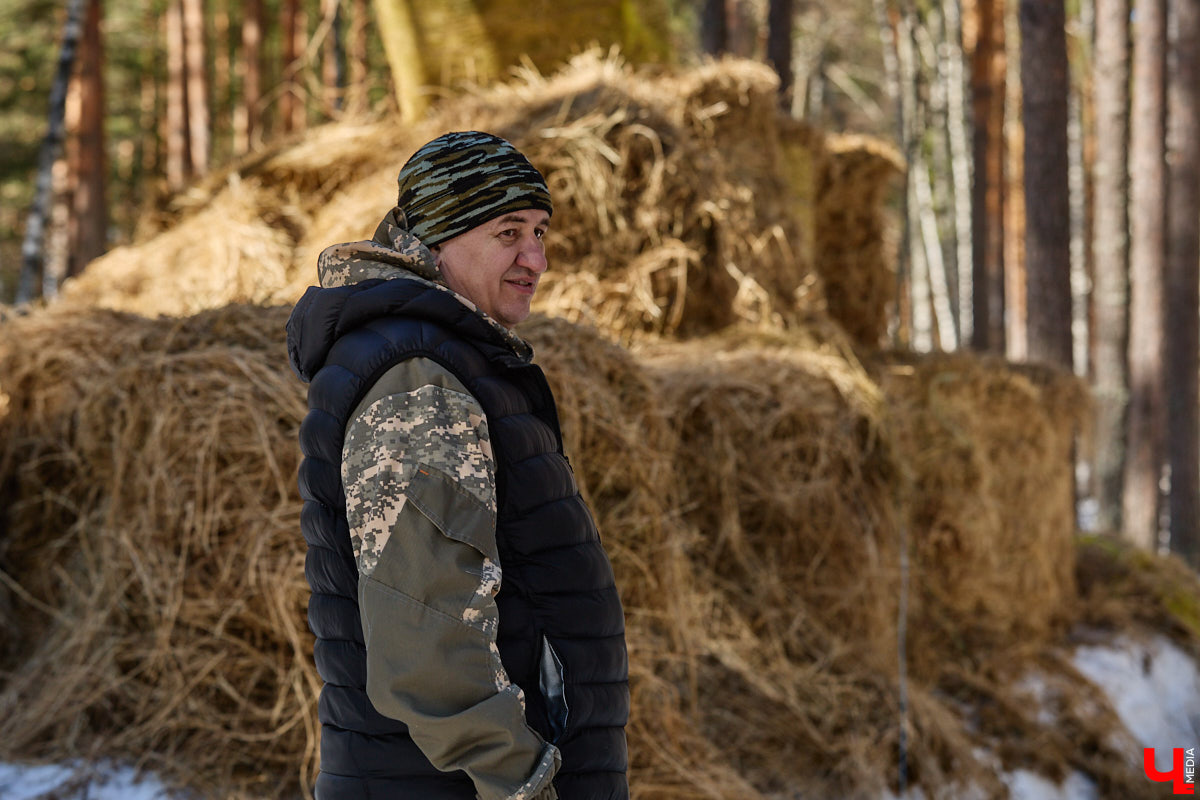 Популяция владимирских зубров разменяла три сотни! Большая часть краснокнижных великанов обитает на территории области, но есть наши животные и в заповеднике Мордовии. «Ключ-Медиа» отправился в Гусь-Хрустальный район, чтобы не только полюбоваться дикими быками, но и узнать, сколько рогатых млекопитающих рода бизонов вышли за пределы охраняемых территорий и теперь свободно гуляют по лесам 33-го региона.