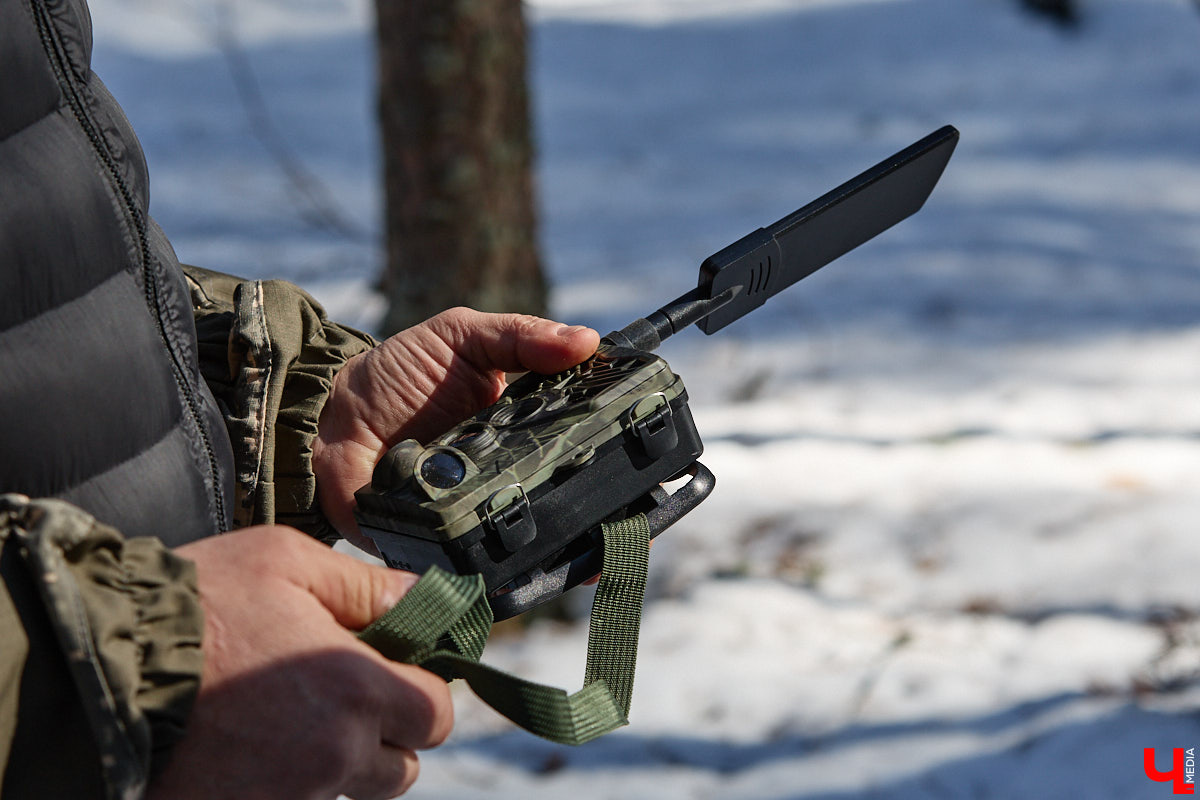 Популяция владимирских зубров разменяла три сотни! Большая часть краснокнижных великанов обитает на территории области, но есть наши животные и в заповеднике Мордовии. «Ключ-Медиа» отправился в Гусь-Хрустальный район, чтобы не только полюбоваться дикими быками, но и узнать, сколько рогатых млекопитающих рода бизонов вышли за пределы охраняемых территорий и теперь свободно гуляют по лесам 33-го региона.