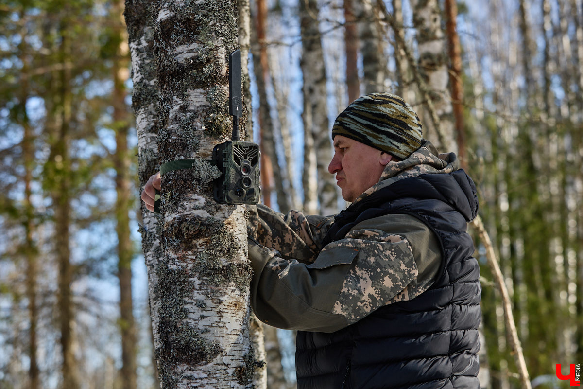 Популяция владимирских зубров разменяла три сотни! Большая часть краснокнижных великанов обитает на территории области, но есть наши животные и в заповеднике Мордовии. «Ключ-Медиа» отправился в Гусь-Хрустальный район, чтобы не только полюбоваться дикими быками, но и узнать, сколько рогатых млекопитающих рода бизонов вышли за пределы охраняемых территорий и теперь свободно гуляют по лесам 33-го региона.