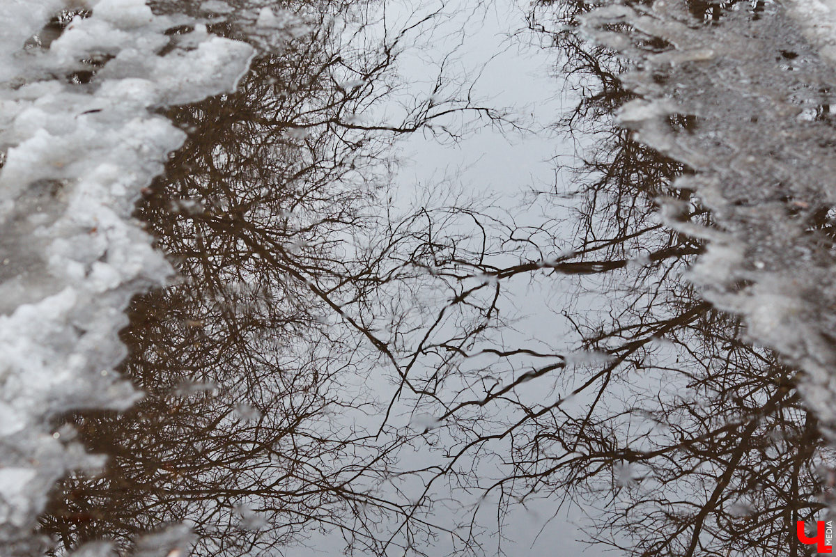 После аномально снежной зимы владимирцы были морально готовы к широкому весеннему разливу в черте города. Казалось, большие и глубокие лужи неизбежны. Однако сугробы активно тают под мартовским солнцем вторую неделю, вот только ручьи никуда не текут и не бегут. Точнее, они, конечно же, есть, но в куда более скромном количестве, нежели ожидалось.