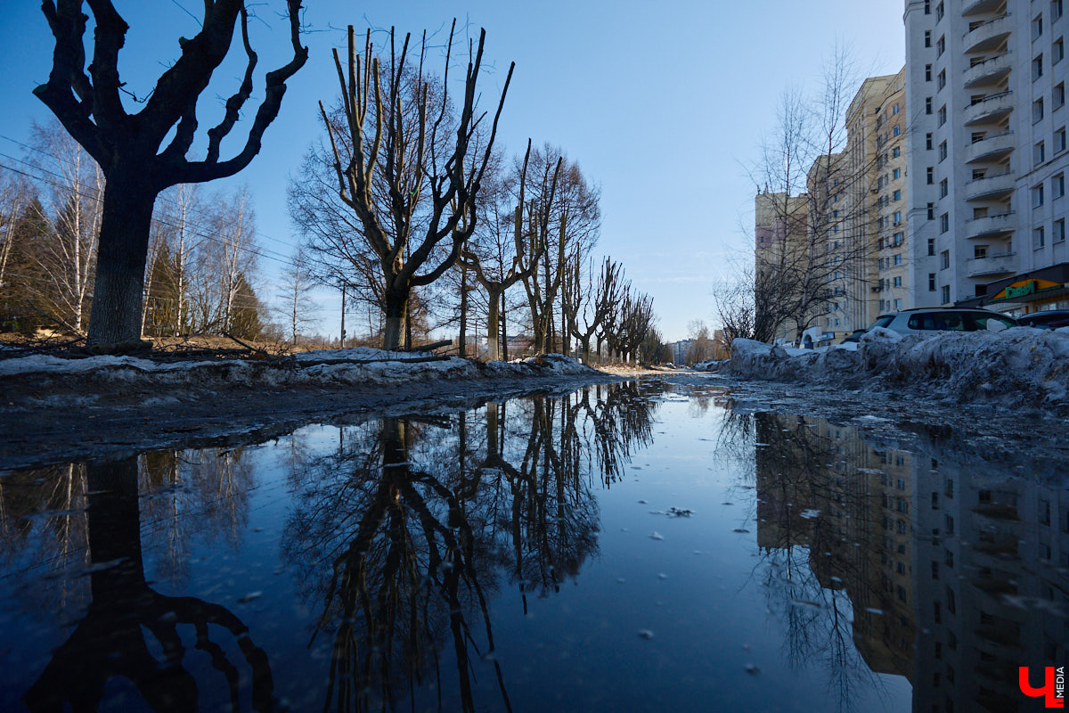 На земле груды спиленных веток, в воздухе висит терпкий смолистый дух, а вместо высоких и красивых деревьев – обрубленные пеньки. Во Владимире снова принялись омолаживать зеленый щит города. На этот раз звук бензопил раздавался по всему Суздальскому проспекту. Что не так с очередным актом благоустройства, «Ключ-Медиа» обсудил на месте с дендрологом Иваном Шматковым.