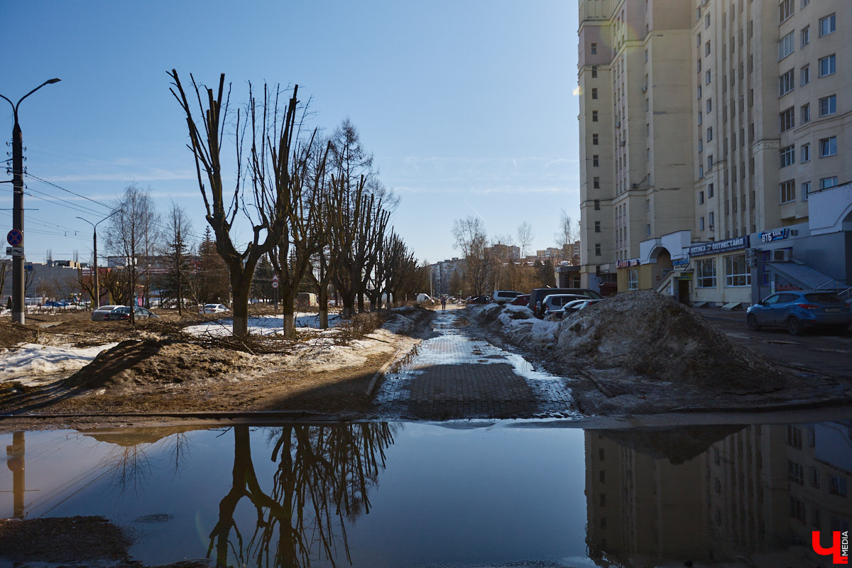 На земле груды спиленных веток, в воздухе висит терпкий смолистый дух, а вместо высоких и красивых деревьев – обрубленные пеньки. Во Владимире снова принялись омолаживать зеленый щит города. На этот раз звук бензопил раздавался по всему Суздальскому проспекту. Что не так с очередным актом благоустройства, «Ключ-Медиа» обсудил на месте с дендрологом Иваном Шматковым.