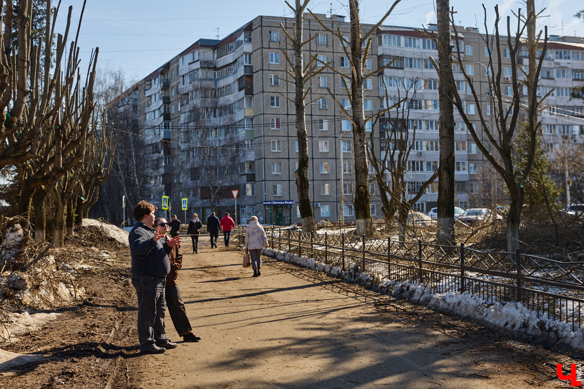 На земле груды спиленных веток, в воздухе висит терпкий смолистый дух, а вместо высоких и красивых деревьев – обрубленные пеньки. Во Владимире снова принялись омолаживать зеленый щит города. На этот раз звук бензопил раздавался по всему Суздальскому проспекту. Что не так с очередным актом благоустройства, «Ключ-Медиа» обсудил на месте с дендрологом Иваном Шматковым.