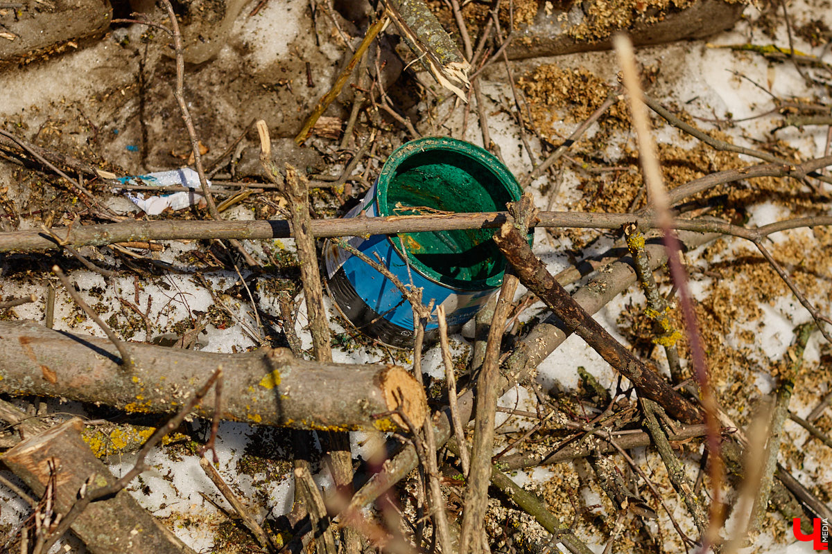 На земле груды спиленных веток, в воздухе висит терпкий смолистый дух, а вместо высоких и красивых деревьев – обрубленные пеньки. Во Владимире снова принялись омолаживать зеленый щит города. На этот раз звук бензопил раздавался по всему Суздальскому проспекту. Что не так с очередным актом благоустройства, «Ключ-Медиа» обсудил на месте с дендрологом Иваном Шматковым.
