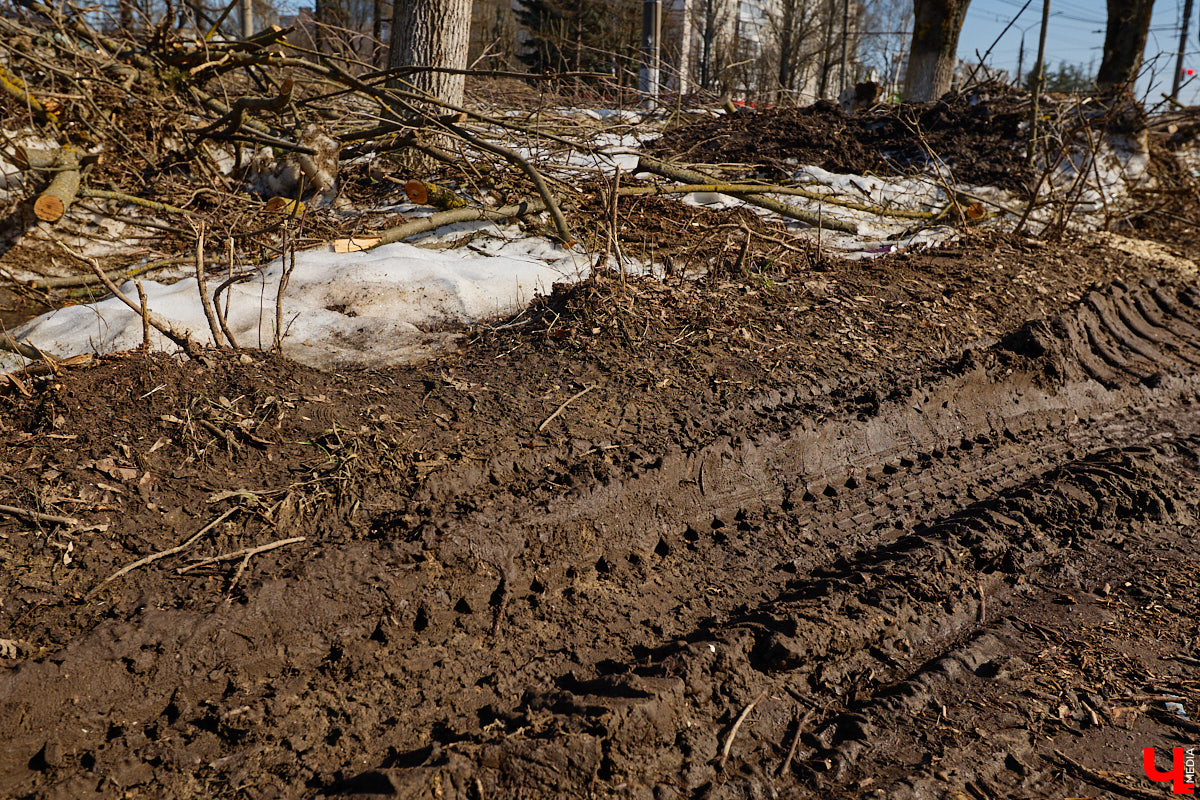 На земле груды спиленных веток, в воздухе висит терпкий смолистый дух, а вместо высоких и красивых деревьев – обрубленные пеньки. Во Владимире снова принялись омолаживать зеленый щит города. На этот раз звук бензопил раздавался по всему Суздальскому проспекту. Что не так с очередным актом благоустройства, «Ключ-Медиа» обсудил на месте с дендрологом Иваном Шматковым.