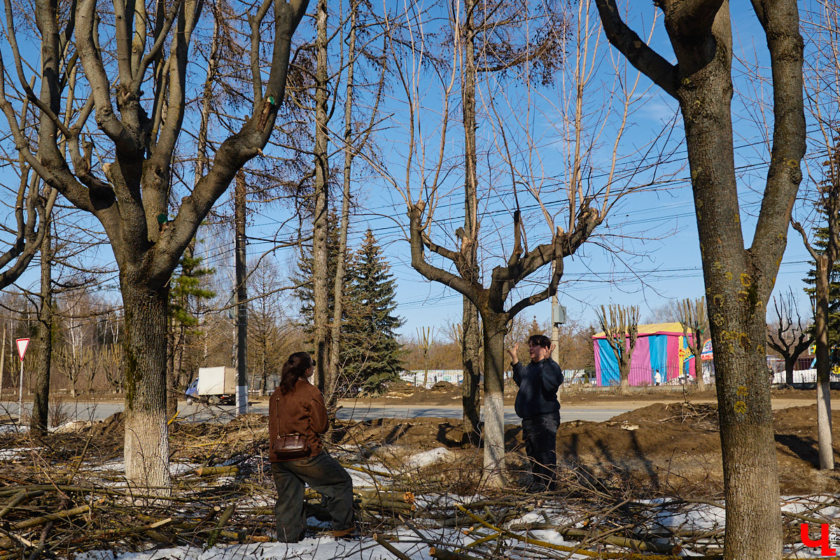 На земле груды спиленных веток, в воздухе висит терпкий смолистый дух, а вместо высоких и красивых деревьев – обрубленные пеньки. Во Владимире снова принялись омолаживать зеленый щит города. На этот раз звук бензопил раздавался по всему Суздальскому проспекту. Что не так с очередным актом благоустройства, «Ключ-Медиа» обсудил на месте с дендрологом Иваном Шматковым.