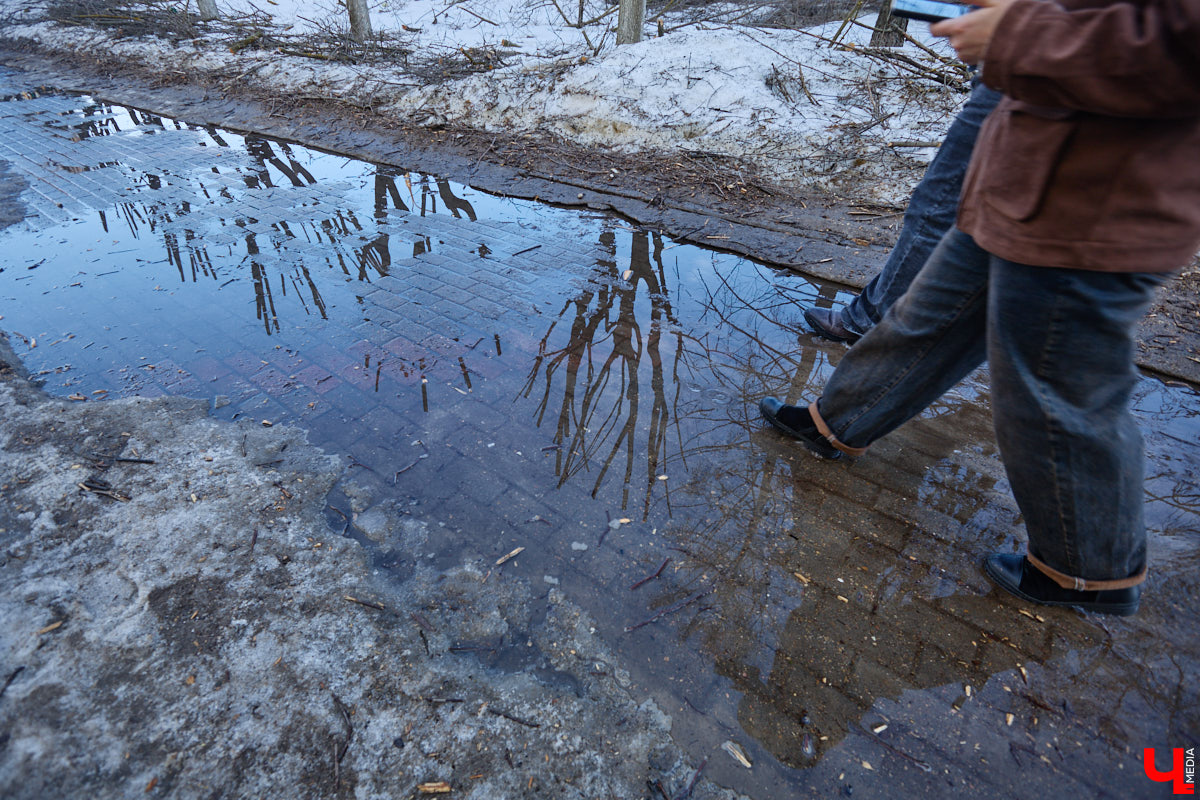 На земле груды спиленных веток, в воздухе висит терпкий смолистый дух, а вместо высоких и красивых деревьев – обрубленные пеньки. Во Владимире снова принялись омолаживать зеленый щит города. На этот раз звук бензопил раздавался по всему Суздальскому проспекту. Что не так с очередным актом благоустройства, «Ключ-Медиа» обсудил на месте с дендрологом Иваном Шматковым.