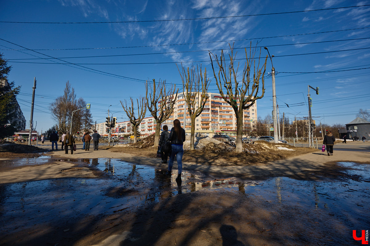 На земле груды спиленных веток, в воздухе висит терпкий смолистый дух, а вместо высоких и красивых деревьев – обрубленные пеньки. Во Владимире снова принялись омолаживать зеленый щит города. На этот раз звук бензопил раздавался по всему Суздальскому проспекту. Что не так с очередным актом благоустройства, «Ключ-Медиа» обсудил на месте с дендрологом Иваном Шматковым.
