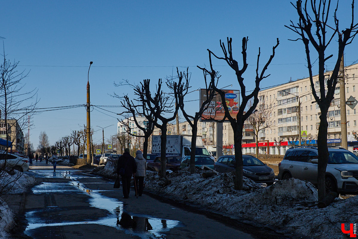 На земле груды спиленных веток, в воздухе висит терпкий смолистый дух, а вместо высоких и красивых деревьев – обрубленные пеньки. Во Владимире снова принялись омолаживать зеленый щит города. На этот раз звук бензопил раздавался по всему Суздальскому проспекту. Что не так с очередным актом благоустройства, «Ключ-Медиа» обсудил на месте с дендрологом Иваном Шматковым.