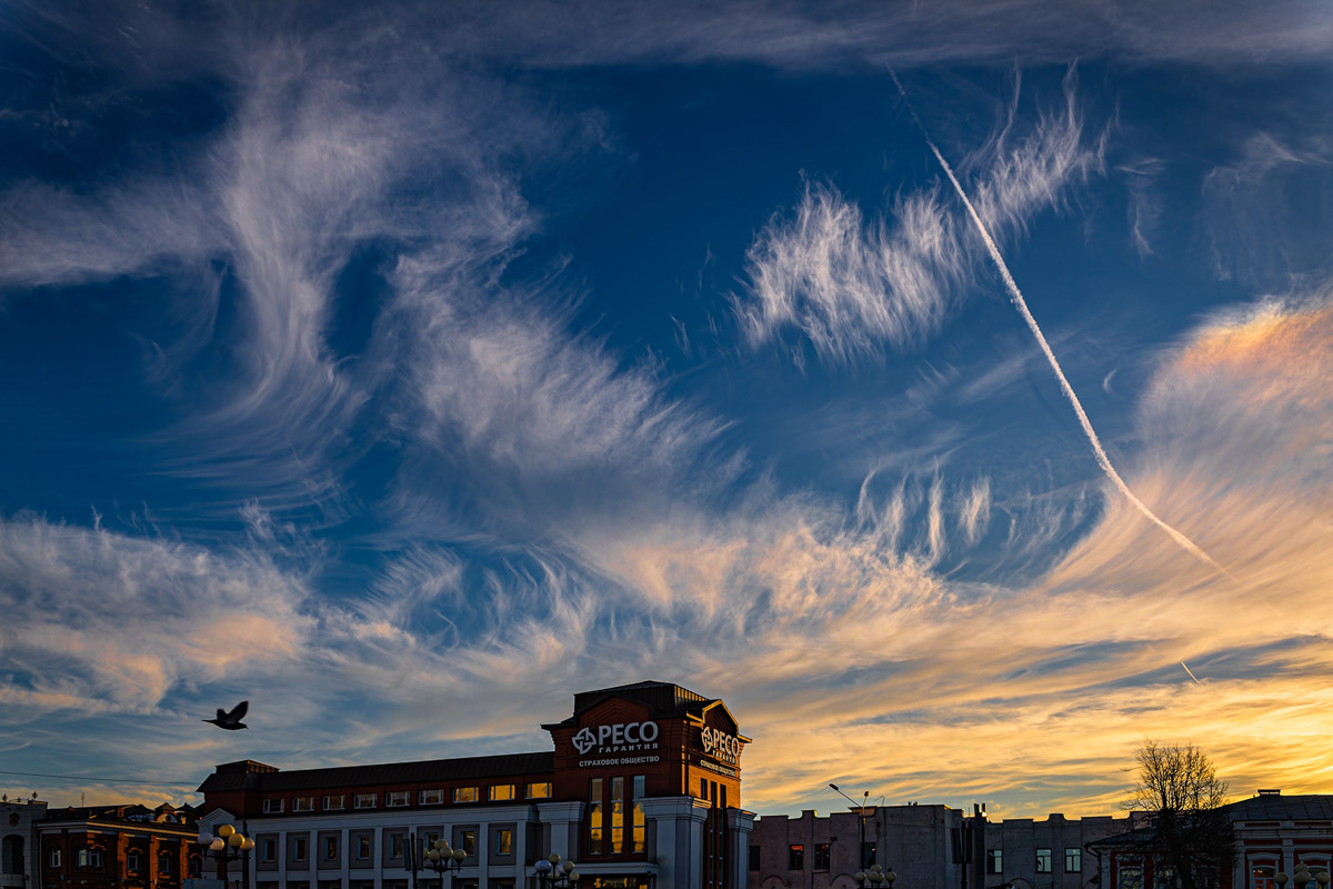 Небо над Владимирской областью регулярно устраивает эффектные шоу. То порадует световыми столбами, то удивит сразу четырьмя ночными светилами. За последнее время жители региона тоже сняли немало чудес: перевернутую радугу и северное сияние. «Ключ-Медиа» собрал самые необычные и красивые кадры.