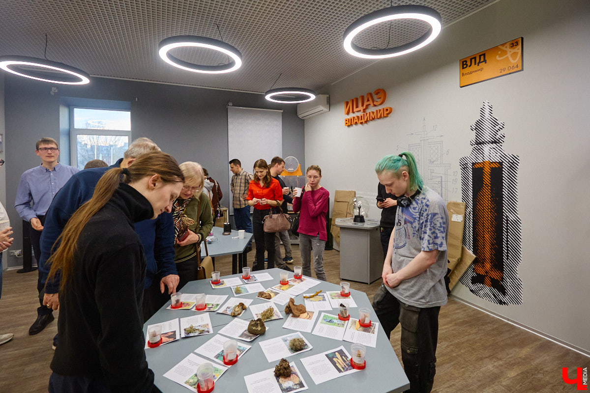 Что объединяет «Алису в Стране чудес», сериал The Last of Us и «Служебный роман»? Не поверите, но... грибы! Доказал эту гипотезу биолог Артем Мишулин. Специалист раскрыл все жизненные секреты этих тихонь, а также объяснил, почему они так сильно вдохновляют дизайнеров из киносферы брать их на главные роли.