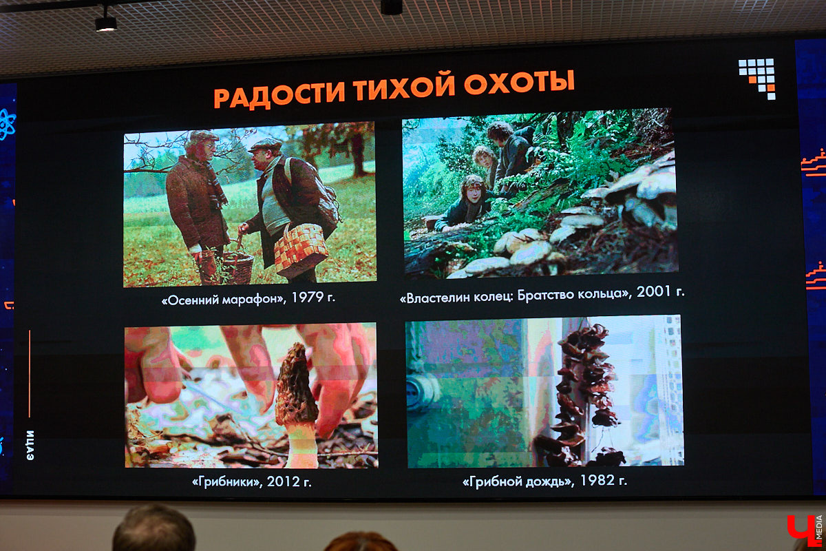 Что объединяет «Алису в Стране чудес», сериал The Last of Us и «Служебный роман»? Не поверите, но... грибы! Доказал эту гипотезу биолог Артем Мишулин. Специалист раскрыл все жизненные секреты этих тихонь, а также объяснил, почему они так сильно вдохновляют дизайнеров из киносферы брать их на главные роли.