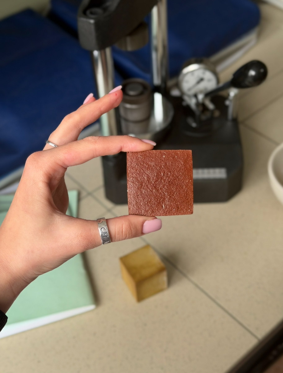 Владимирская молодежь покоряет новые высоты. А главным источником их вдохновения становится родной край. Так, две четверокурсницы колледжа ВлГУ привезли домой победу со всероссийского конкурса. Другая магистрантка «вырастила» собственного белокаменного льва и создала самоглазурующуюся керамику! «Ключ-Медиа» поговорил с юными дарованиями об их проектах и разработках.