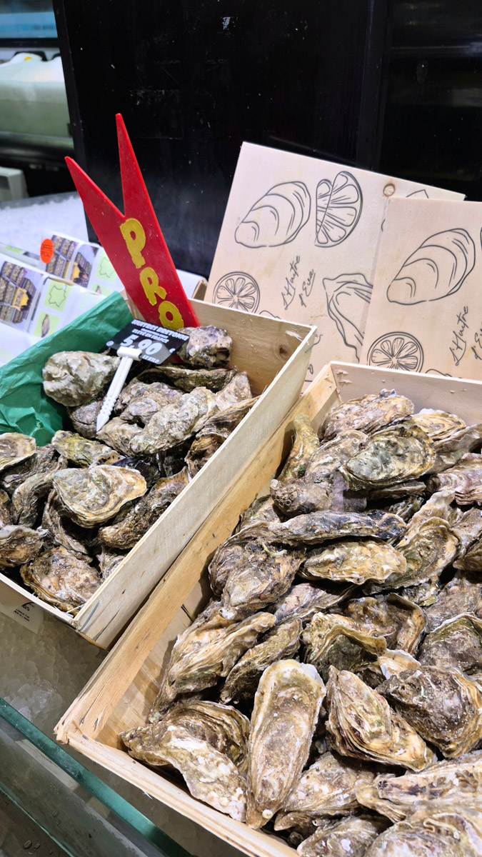 Горы мусора, толпы мигрантов и небезопасные улицы. Именно так описывали Париж Ольге Буниной ее друзья из французской столицы. Но отправившись в город любви в пятый раз, она открыла для себя совсем иную реальность. О своем путешествии, которое женщина вспоминает с огромной любовью, а также о развенчанных стереотипах про известнейшее место планеты туристка рассказала «Ключ-Медиа».