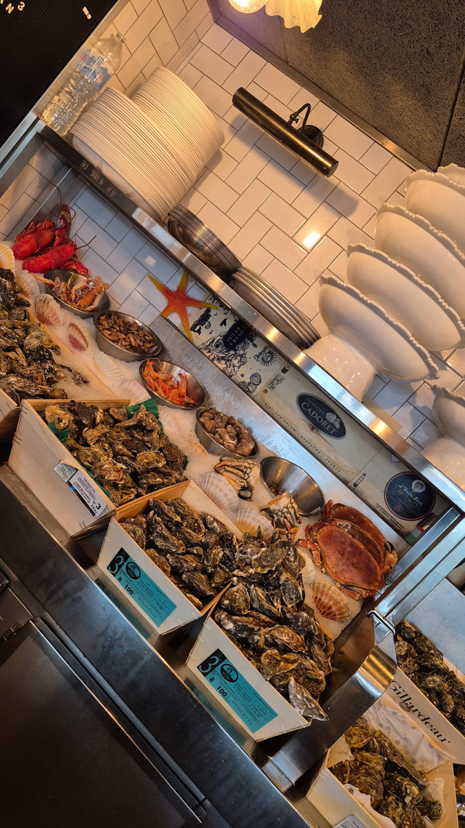 Горы мусора, толпы мигрантов и небезопасные улицы. Именно так описывали Париж Ольге Буниной ее друзья из французской столицы. Но отправившись в город любви в пятый раз, она открыла для себя совсем иную реальность. О своем путешествии, которое женщина вспоминает с огромной любовью, а также о развенчанных стереотипах про известнейшее место планеты туристка рассказала «Ключ-Медиа».