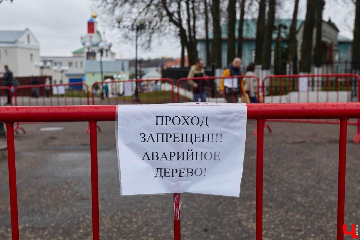 «Златая цепь» на дубе том всё же не выдержала. Ветви известного векового дерева на Георгиевской стали угрозой для пешеходов и воспитанников детского сада по соседству. В итоге на одной из главных туристических точек поставили ограждение. «Ключ-Медиа» узнал, что произошло с памятником природы, скованным, казалось бы, долговечной металлической стяжкой, и какая судьба его ждет.