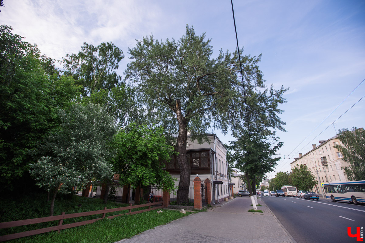 «Златая цепь» на дубе том всё же не выдержала. Ветви известного векового дерева на Георгиевской стали угрозой для пешеходов и воспитанников детского сада по соседству. В итоге на одной из главных туристических точек поставили ограждение. «Ключ-Медиа» узнал, что произошло с памятником природы, скованным, казалось бы, долговечной металлической стяжкой, и какая судьба его ждет.