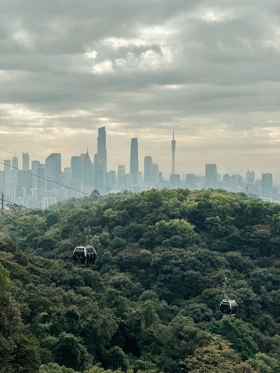В мае 2025 года владимирский психолог Кристина Вдовина перебралась в Китай. Разумеется, такой головокружительный поворот оказался связан с массой впечатлений, трудностей и внутренних трансформаций. Спустя почти год жизни в Азии девушка готова поделиться своими выводами и умозаключениями.