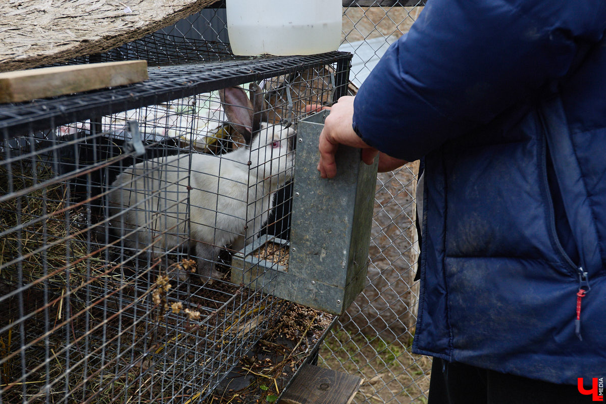 Самбист Антон Коновалов никогда не мечтал о жилье в новеньком ЖК. Поэтому, когда он купил участок с домом в деревне Юрино, никто из знакомых не удивился. В Сети чемпион России, Европы и мира рассказывает, как кормит кур и кроликов, пьет чай, наслаждаясь щебетом птиц, рубит дрова. Благодать, одним словом. И «Ключ-Медиа» перед ней не устоял — собрался и приехал к атлету в гости.