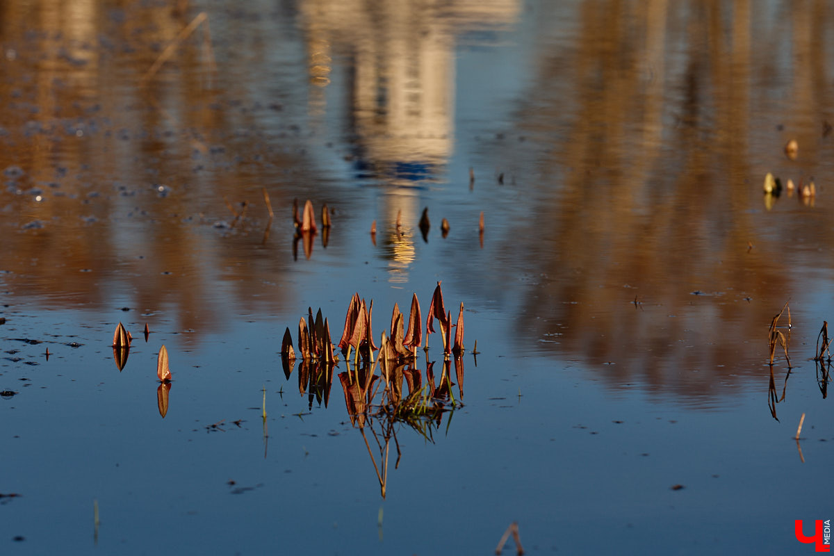 В прошлом году «маленькую Венецию» в Боголюбове нам застать не удалось из-за слишком теплой зимы. Зато в 2026-м луг у белокаменного шедевра знатно затопило вышедшими из берегов реками. В апреле, невзирая на погоду, пространство вокруг памятника заполнили ценители прекрасного: кто пешком, кто по воде.