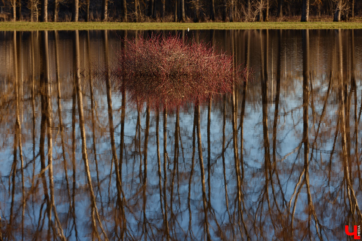 В прошлом году «маленькую Венецию» в Боголюбове нам застать не удалось из-за слишком теплой зимы. Зато в 2026-м луг у белокаменного шедевра знатно затопило вышедшими из берегов реками. В апреле, невзирая на погоду, пространство вокруг памятника заполнили ценители прекрасного: кто пешком, кто по воде.