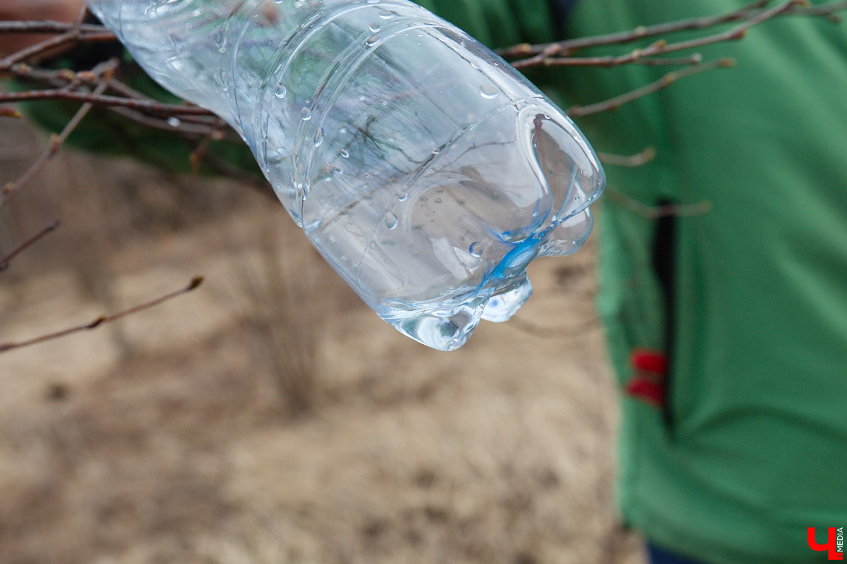 Во Владимирской области наступило идеальное время для сбора березового сока. Делать это лучше всего за городом, выбрать в лесу взрослое дерево и аккуратно сцедить пару литров живительной влаги. Как правильно собирать нектар, чтобы береза не пострадала, «Ключ-Медиа» рассказал биолог Владимир Горькавый.