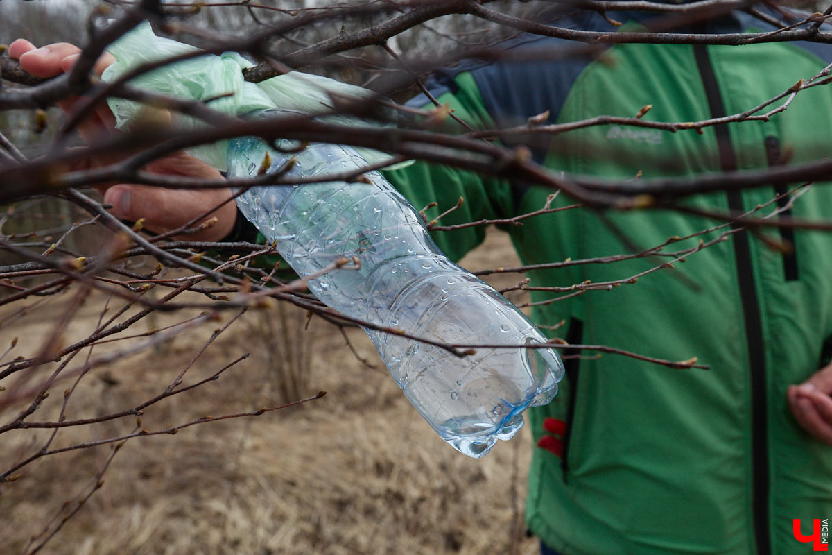 Во Владимирской области наступило идеальное время для сбора березового сока. Делать это лучше всего за городом, выбрать в лесу взрослое дерево и аккуратно сцедить пару литров живительной влаги. Как правильно собирать нектар, чтобы береза не пострадала, «Ключ-Медиа» рассказал биолог Владимир Горькавый.