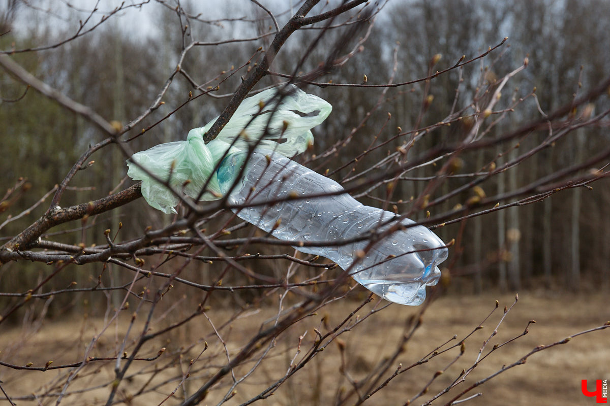 Во Владимирской области наступило идеальное время для сбора березового сока. Делать это лучше всего за городом, выбрать в лесу взрослое дерево и аккуратно сцедить пару литров живительной влаги. Как правильно собирать нектар, чтобы береза не пострадала, «Ключ-Медиа» рассказал биолог Владимир Горькавый.