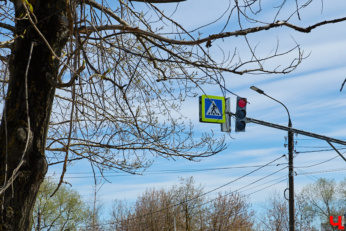 На дорожный ремонт в этом году во Владимире потратят примерно 267 миллионов рублей. В списке больше 20 улиц, правда, сделают их, конечно, не полностью. Менять полотно будут участками. А еще на дороги областного центра вышел первый электробус. Где уложат новый асфальт и по каким маршрутам ездит экотранспорт — расскажем в нашем дорожном обзоре.