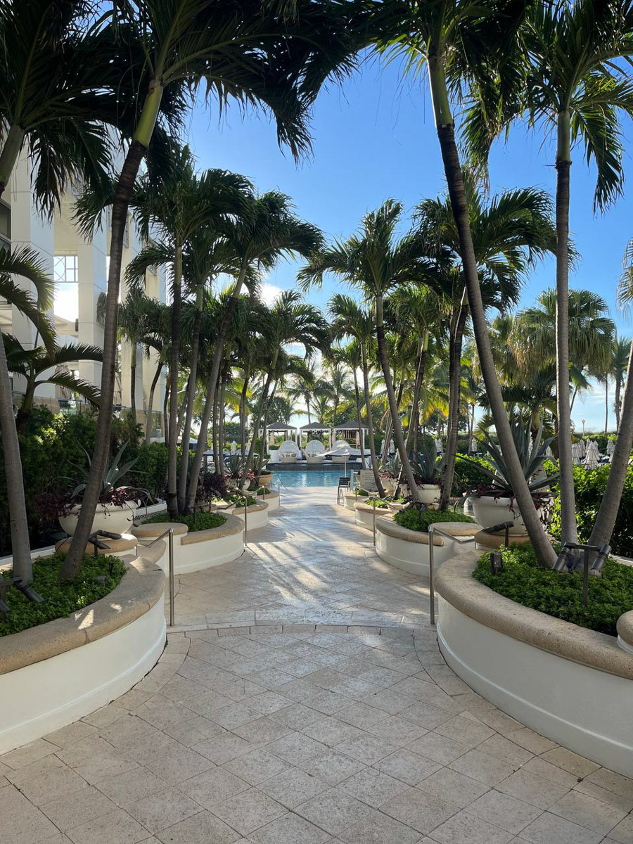 Владимирский боец ММА Вероника Борисова находится в США с февраля 2024 года. За последние пару лет она успела принять участие в нескольких боях, поставить карьеру на паузу, выйти замуж. О крутых поворотах на жизненном пути чемпионка поведала «Ключ-Медиа».