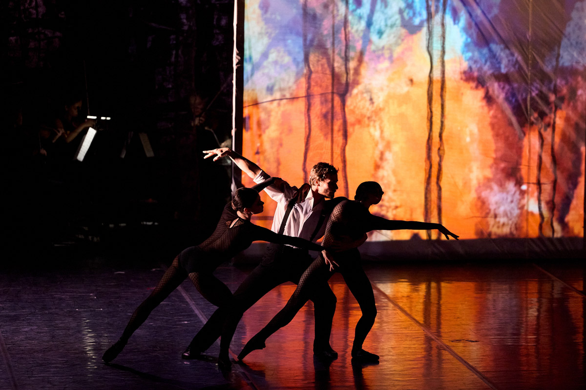 В майские дни, когда память о великом подвиге становится особенно острой, во Владимире пройдет уникальное событие. Центр классической музыки имени А. Э. Маркина запускает новый проект — «Театр и Симфония». Название говорит за себя: это не просто концерты, а пять вечеров, где оркестр, хор, балет и актеры будут рассказывать истории на равных.