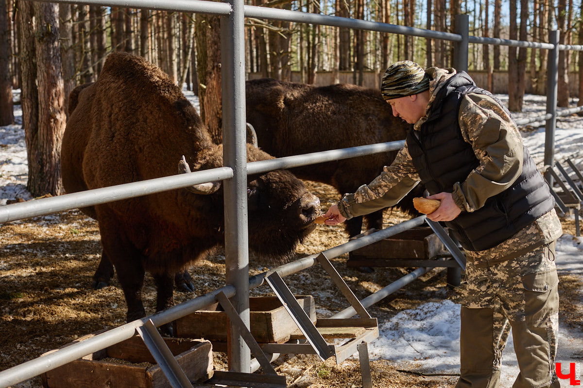 Майские праздники стартуют уже в эту пятницу, и провести их в квартире — вариант так себе. Лучше запланировать небольшое путешествие по 33-му региону. Далеко не уезжаем, каникулы будут не долгими: всего два блока по три дня. Зато времени прокатиться по городам Владимирской области хватит. «Ключ-Медиа» расскажет, куда точно стоит поехать.