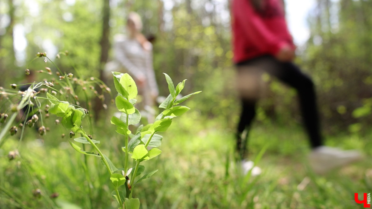Майские праздники стартуют уже в эту пятницу, и провести их в квартире — вариант так себе. Лучше запланировать небольшое путешествие по 33-му региону. Далеко не уезжаем, каникулы будут не долгими: всего два блока по три дня. Зато времени прокатиться по городам Владимирской области хватит. «Ключ-Медиа» расскажет, куда точно стоит поехать.
