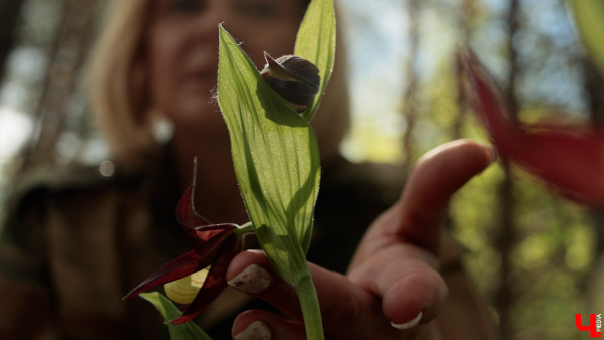 Майские праздники стартуют уже в эту пятницу, и провести их в квартире — вариант так себе. Лучше запланировать небольшое путешествие по 33-му региону. Далеко не уезжаем, каникулы будут не долгими: всего два блока по три дня. Зато времени прокатиться по городам Владимирской области хватит. «Ключ-Медиа» расскажет, куда точно стоит поехать.